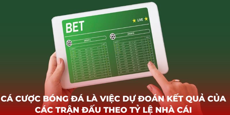 Cá cược bóng đá là việc dự đoán kết quả của các trận đấu theo tỷ lệ nhà cái